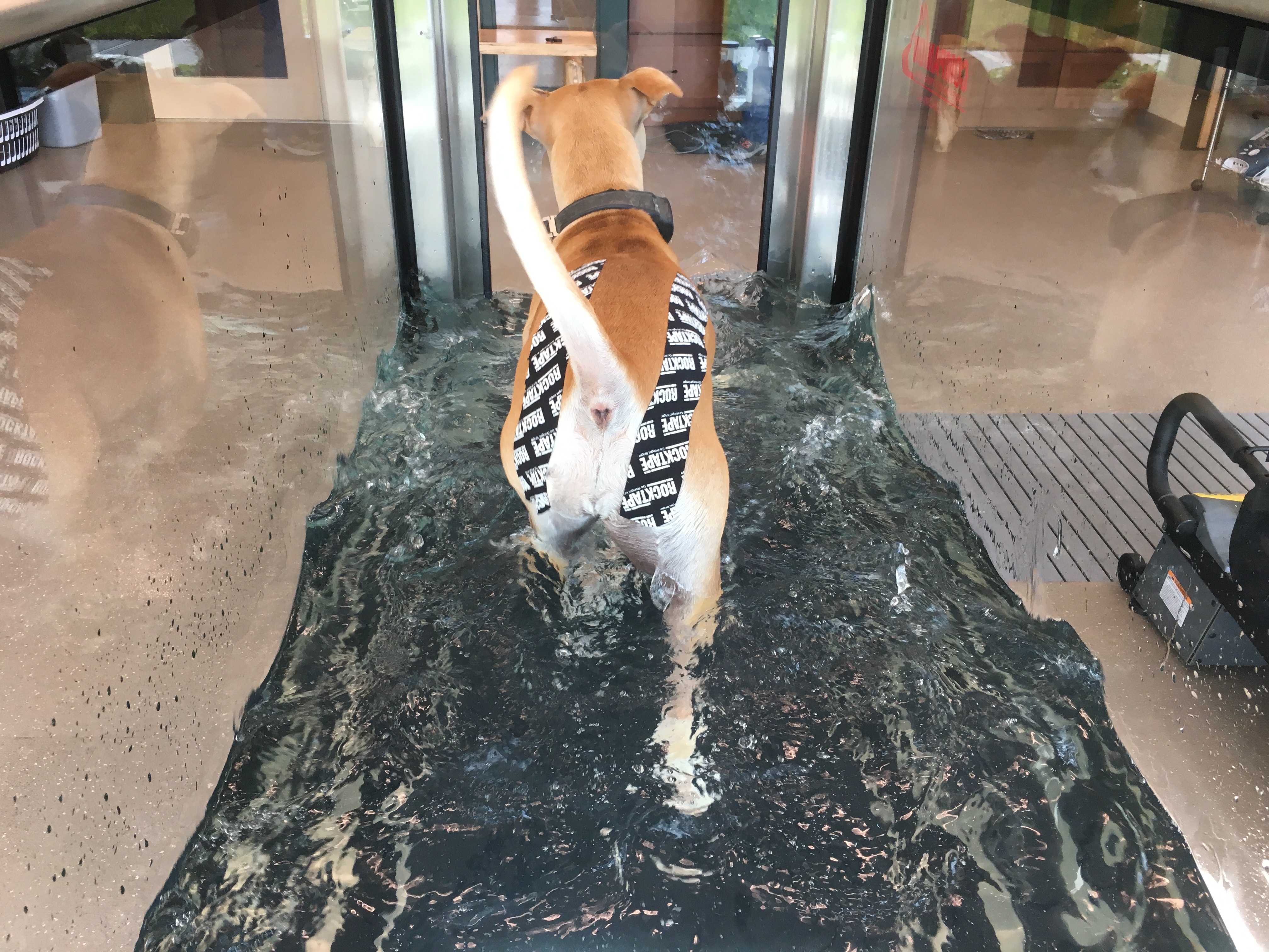 108B3494-2BBC-4924-98F1-E649A8995291